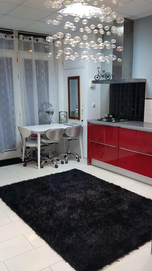 Charming Design Apartment In The Heart Of Leiden Bagian luar foto