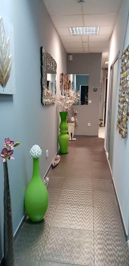 Charming Design Apartment In The Heart Of Leiden Bagian luar foto